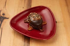 Turtle Brownie